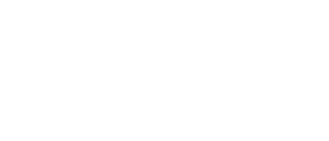 Fry Dish & Chicken Tomato
